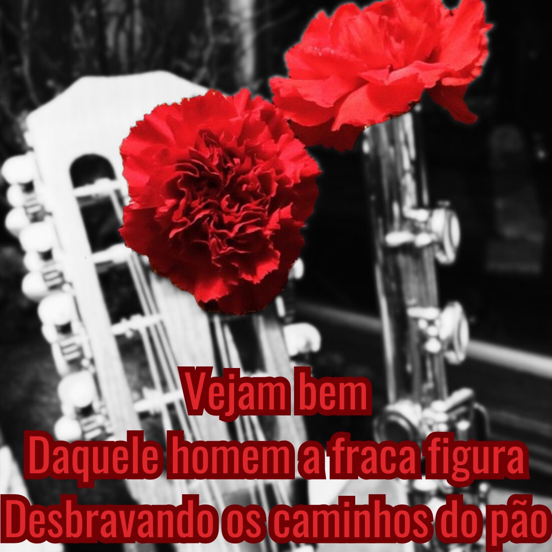 On April 25, we remember the Carnation revolution in Portugal and recognize those who fought for freedom. 1974 marked a year that changed the lives of the Portuguese forever. A life that was once ruled by a dictatorship was set free by a peaceful revolution.
#25deabril #liberdade