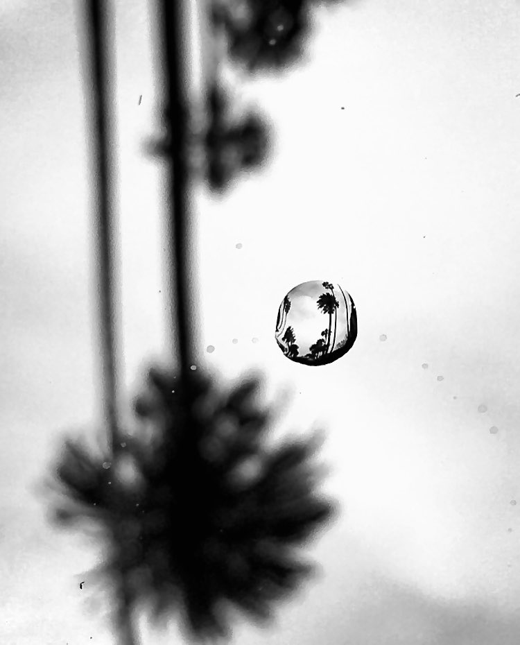 EMILIA | PHOTOGRAPHE tweet media