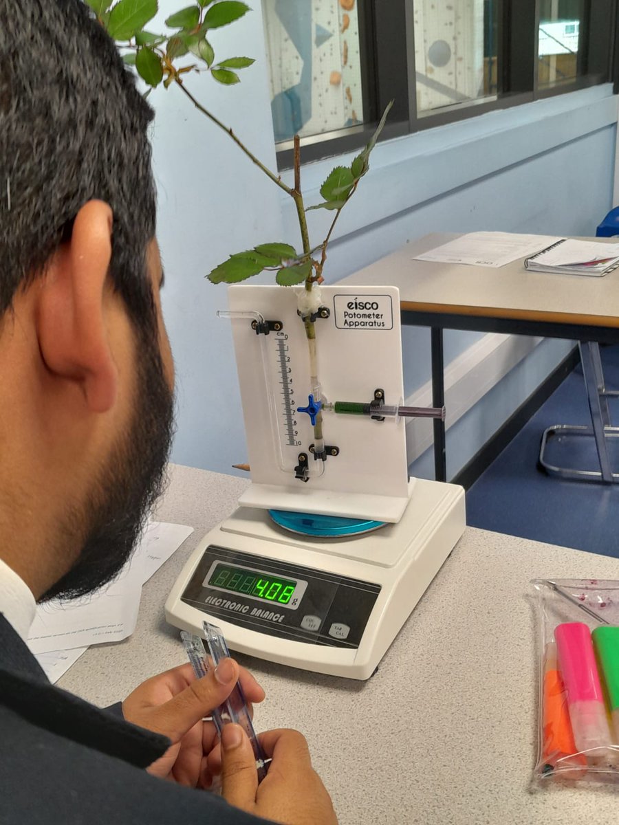 excelsiorcst's tweet photo. Our A-level biology students have begun the plant transport module by applying their knowledge of transpiration to explain the mass change of plants in different conditions. Great work everyone! #biology https://t.co/9OWvDIMKxl