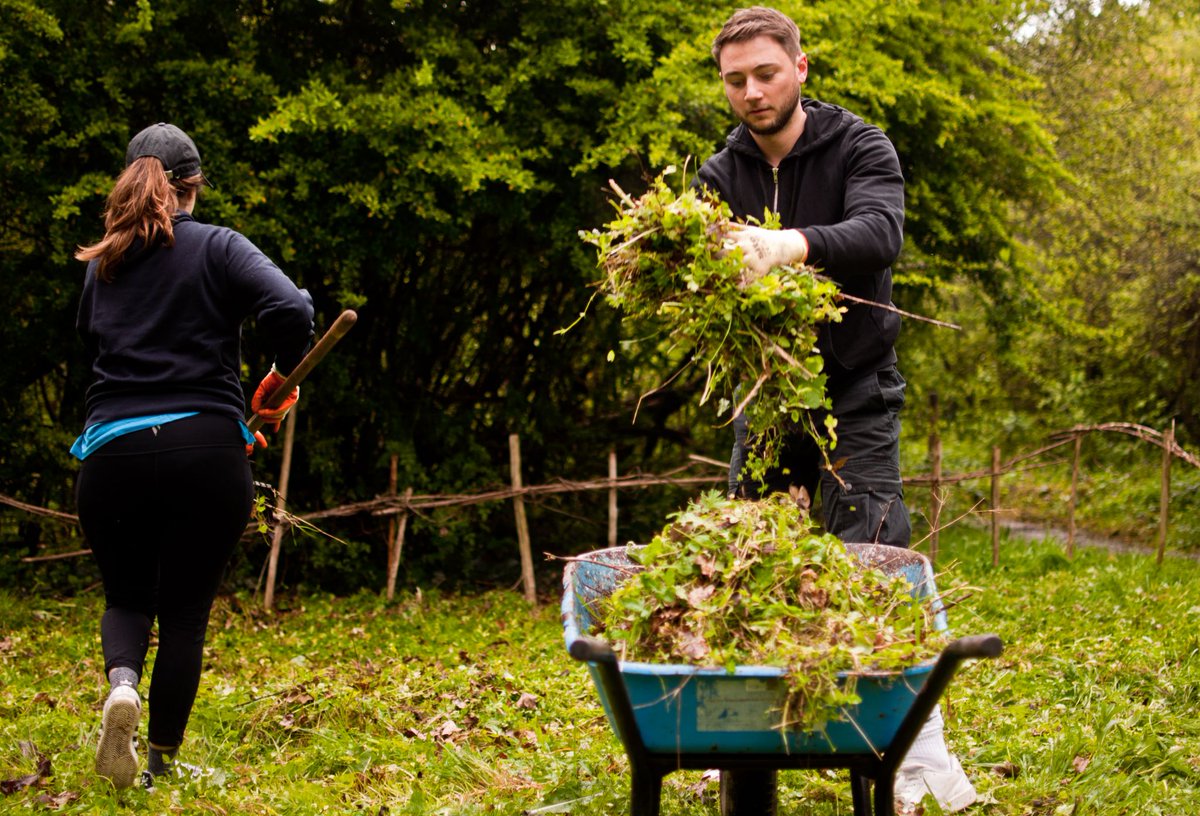 InDigitalMedia's tweet photo. Happy belated Earth Day! 🌱🌍♻️ Last week, in partnership with @TCVtweets, we helped to preserve &amp; promote the natural beauty of the Stave Hill Ecology Park area as part of an ongoing commitment to reduce our impact on the environment across all aspects of our business #EarthDay https://t.co/FgeVw7F05j