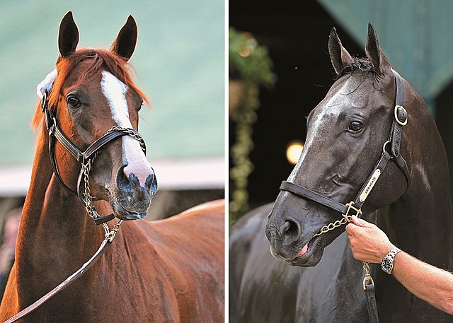  Official On Twitter RT BloodHorse ALERT California Chrome 