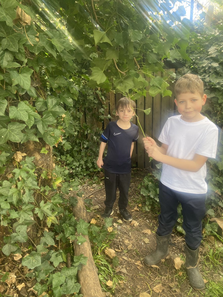 tmcilroyREMAT's tweet photo. We are loving our forest school session in our after school club 🌳 

@GarstonCE https://t.co/PsRP7YlOxE