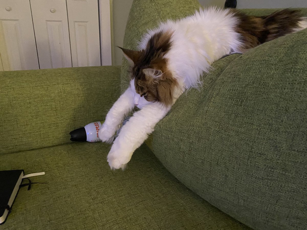 Andy Walker tweet media