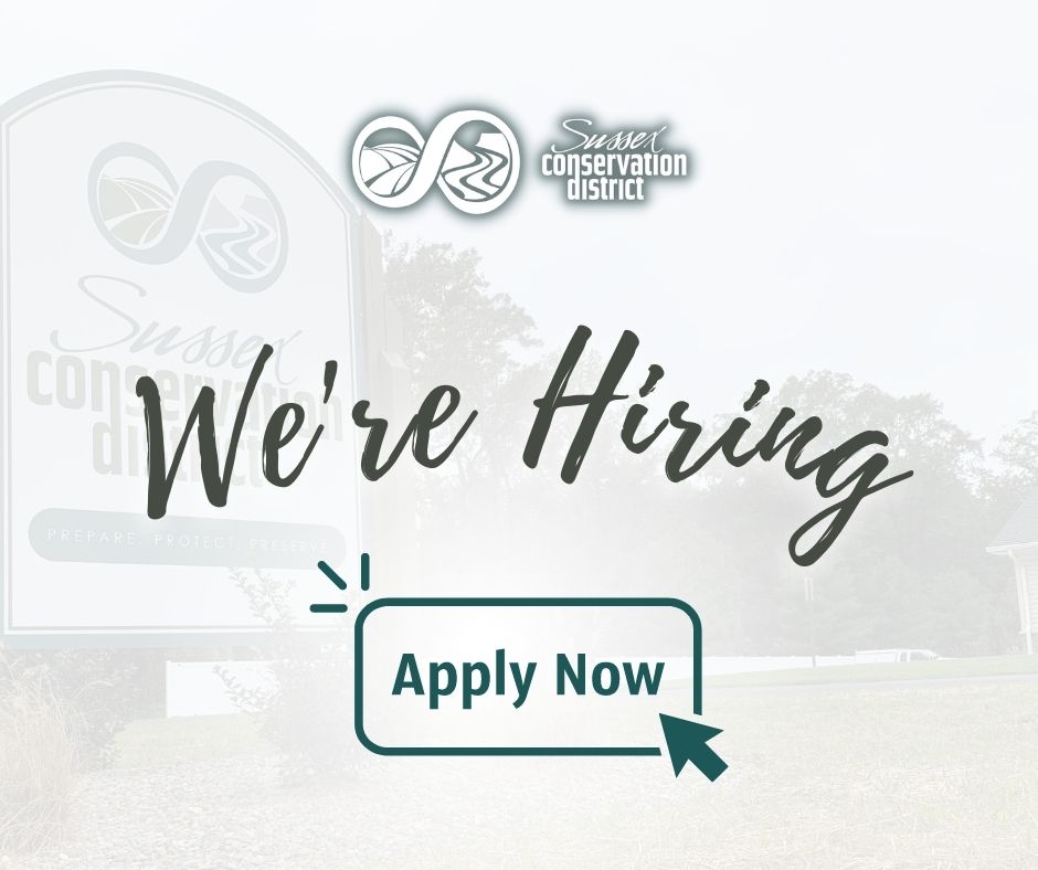 #nowhiring #conservation #planner
sussexconservation.org/contact/employ…