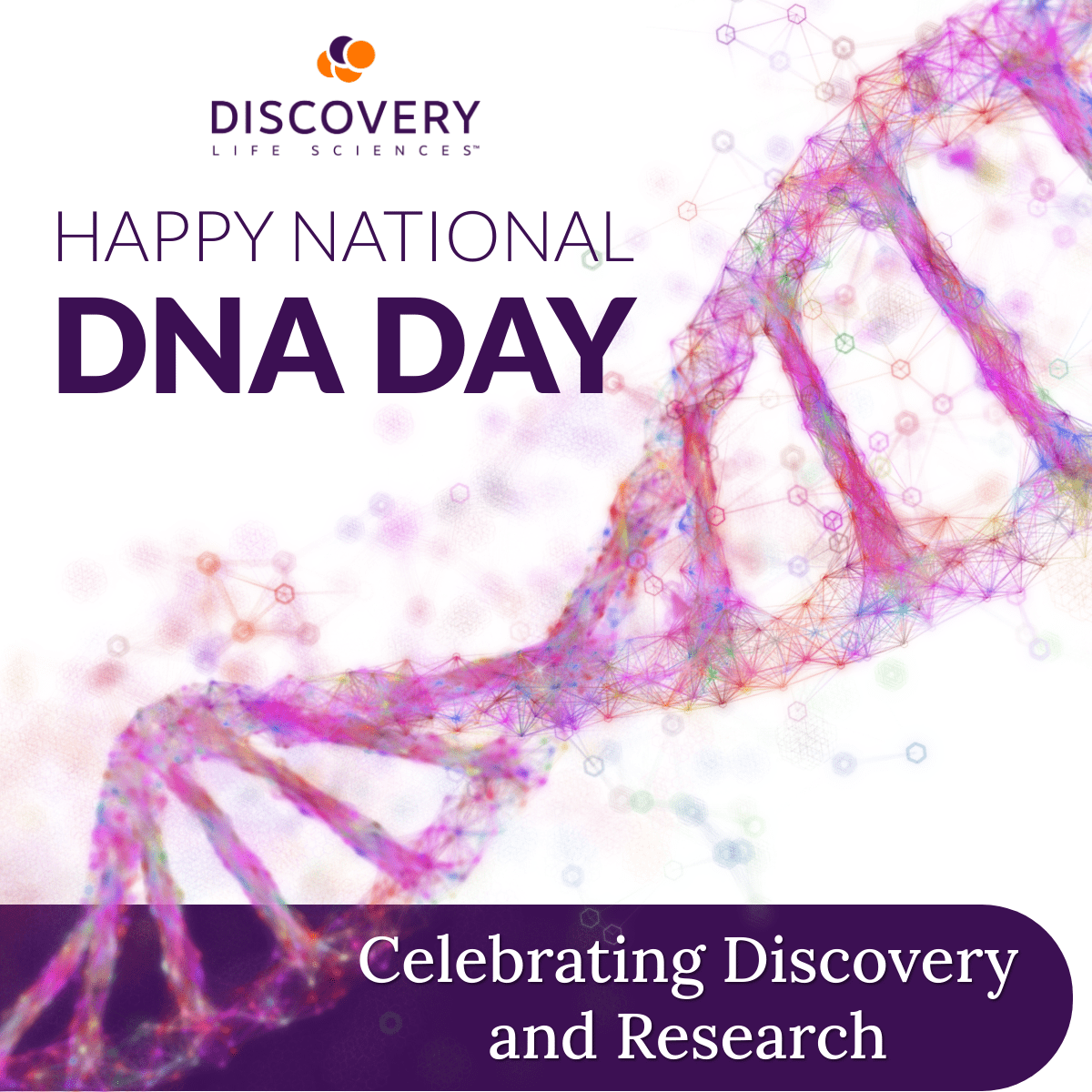DiscLS's tweet photo. Happy National DNA Day! We celebrate the 70th anniversary of the discovery of the #DNA double helix and 20 years since the #HumanGenomeProject was completed. Read more about this breakthrough from where the duo performed their seminal research. 
https://t.co/tSzCFgjyiI https://t.co/NxFQKHMwaj