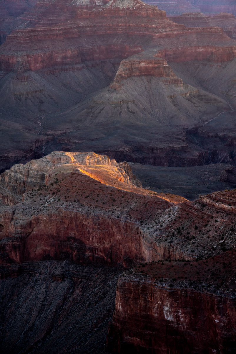 matalyncaptured's tweet photo. That morning light in the Grand Canyon NP https://t.co/B6eN5n7H9F