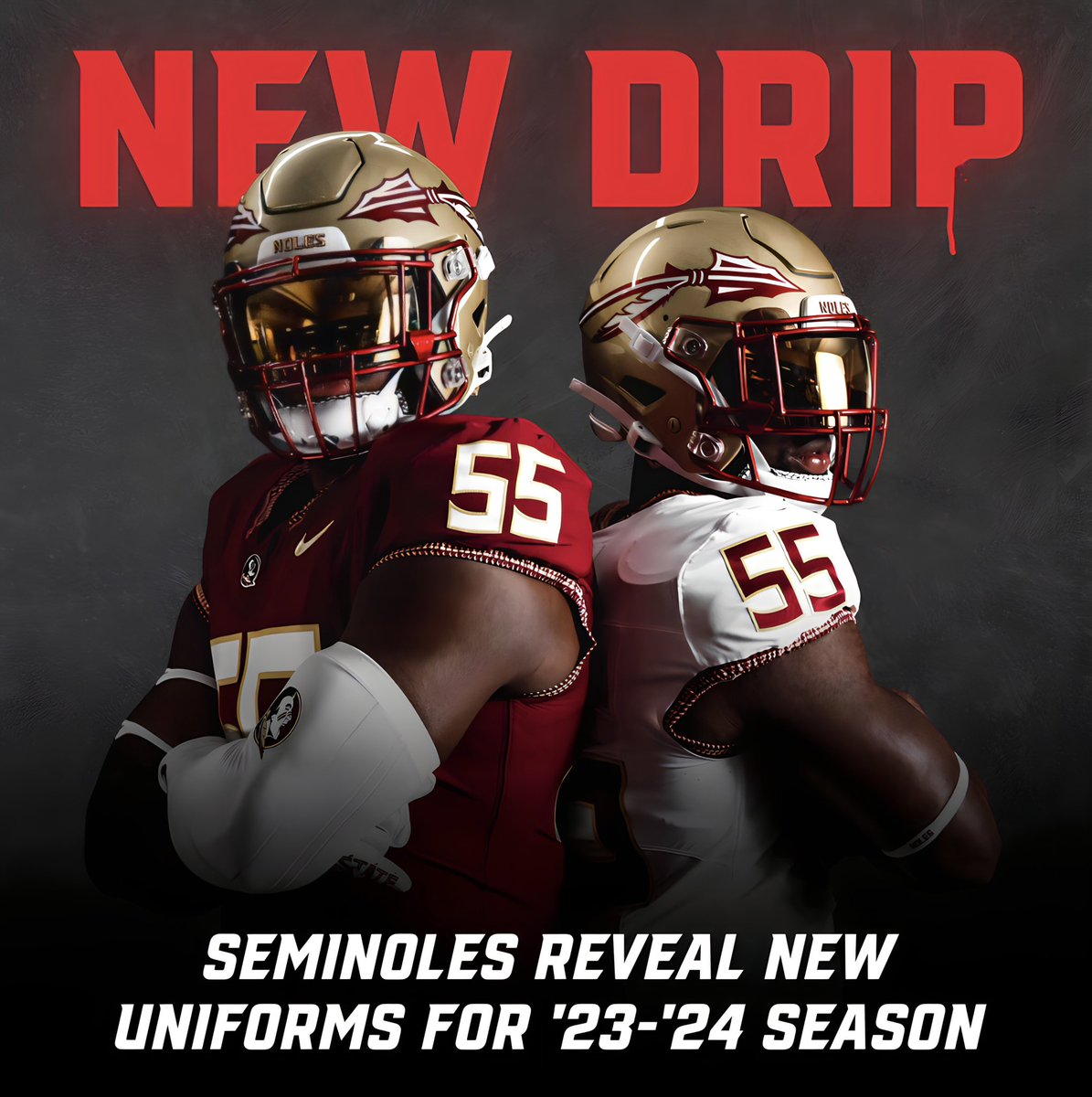 FBVFlorida's tweet photo. What are your thoughts on the new @FSUFootball drip?👀 https://t.co/6uIXHjB8Zl