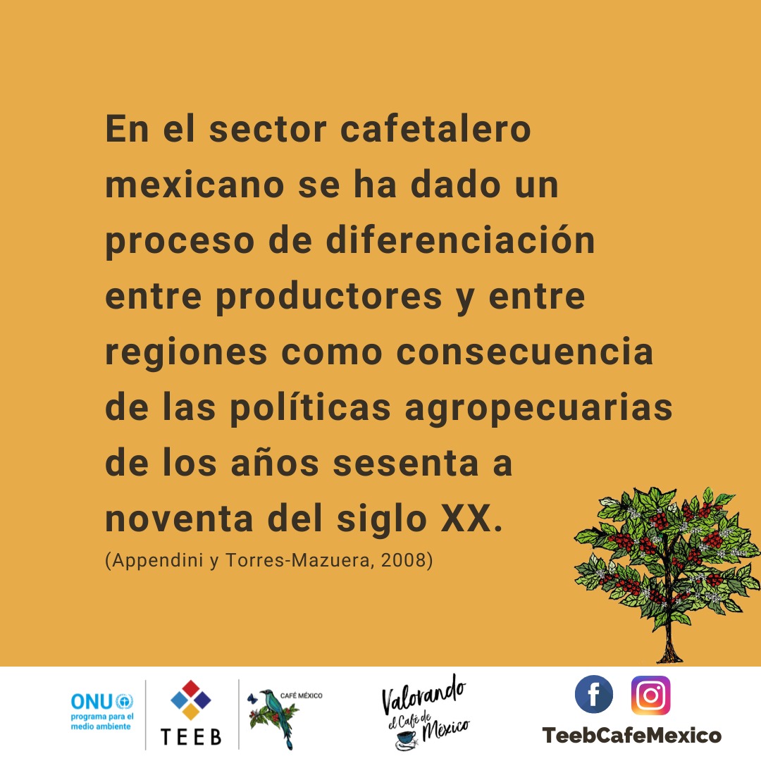 teebcafemexico's tweet photo. Para analizar cómo se estructura la producción de café en México, en TEEB AgriFood reconocemos a diferentes tipos de productores según sus características socioeconómicas, tecnológicas, organizativas, ambientales, entre otras.
#cafeticultura #productoresdecafe #cafemexicano https://t.co/d9v5mVju5U