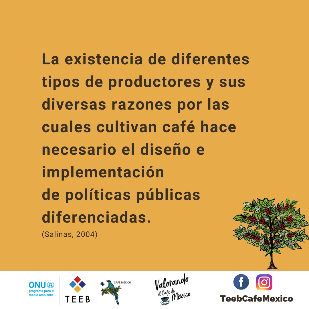 teebcafemexico's tweet photo. Para analizar cómo se estructura la producción de café en México, en TEEB AgriFood reconocemos a diferentes tipos de productores según sus características socioeconómicas, tecnológicas, organizativas, ambientales, entre otras.
#cafeticultura #productoresdecafe #cafemexicano https://t.co/d9v5mVju5U