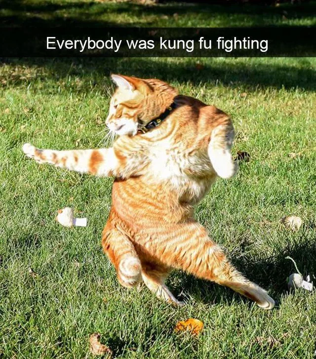 WholesomeMeme's tweet photo. https://t.co/g4Mb6d6lGx