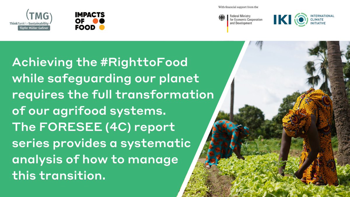 Download the four reports here: tmg-thinktank.com/publication-fe…
@WWF_Deutschland @iki_germany @BMUV 
#EnablingSustainability #RighttoFood #RioConventions @FoodSystems @IPESfood @futureoffoodorg