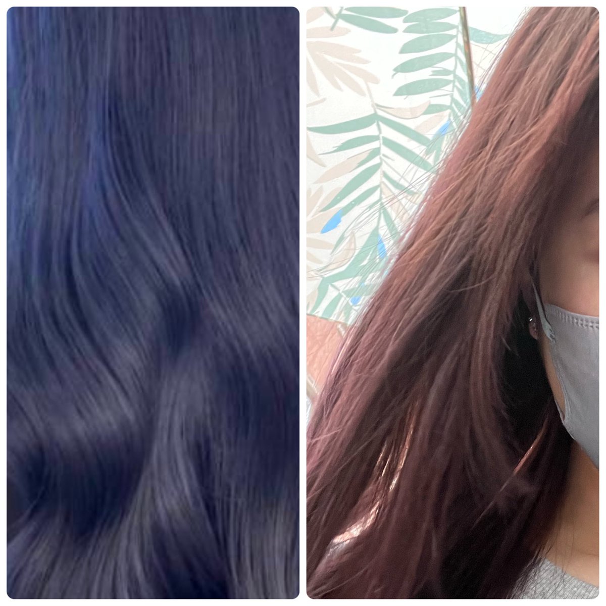 ハイタッチ会のために髪染に行ったんやけど、完全に失敗された、
左にしてって言ったのに、右になった。え？？
暖色苦手でずっと青しか入れてなかったのに🥲急にこんな色なって初めはミトンに対するイライラで気になってなかったけど、こんな髪でジフンｸﾝに会えへん無理すぎるㅜㅜ
