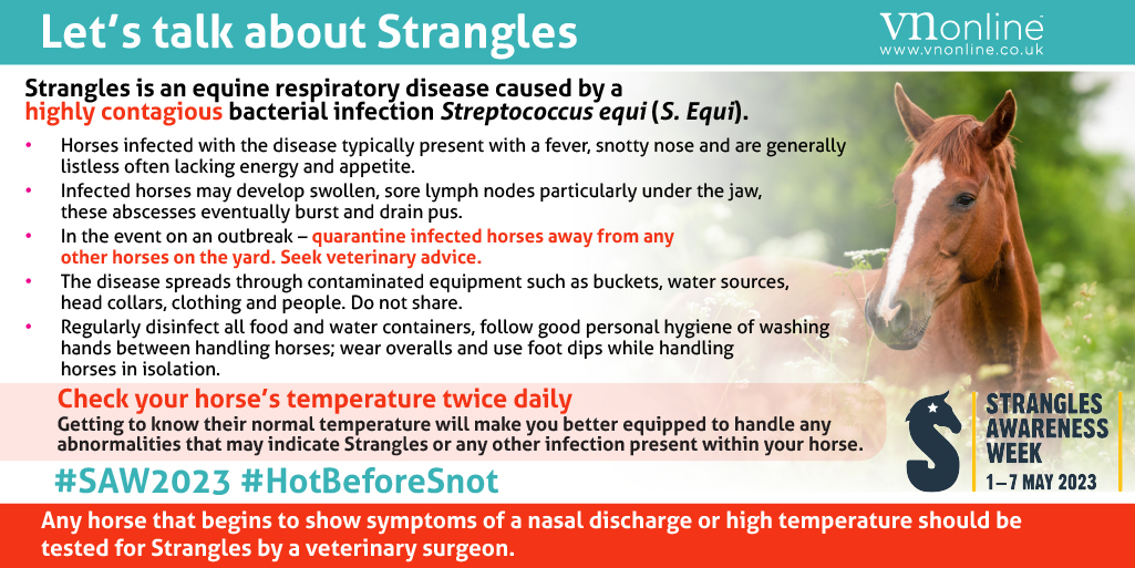 VetNurseOnline's tweet image. During Strangles Awareness Week, horse owners are encouraged to take part in the #TempCheckChallenge #SAW2023 #HotBeforeSnot
