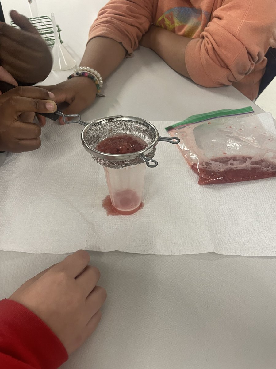 POV’s Excellence Project Club extracted DNA from strawberries with our fabulous Mr. Hehl! Thanks to @grassfield_hs for lending us the equipment!