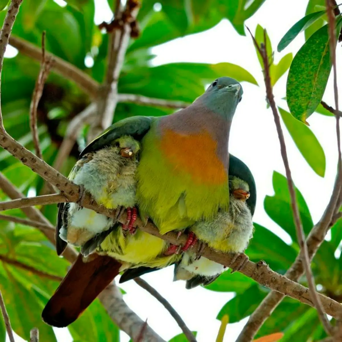 RincnCuriosoo's tweet image. Hermosa imagen que captura un instante de la naturaleza.