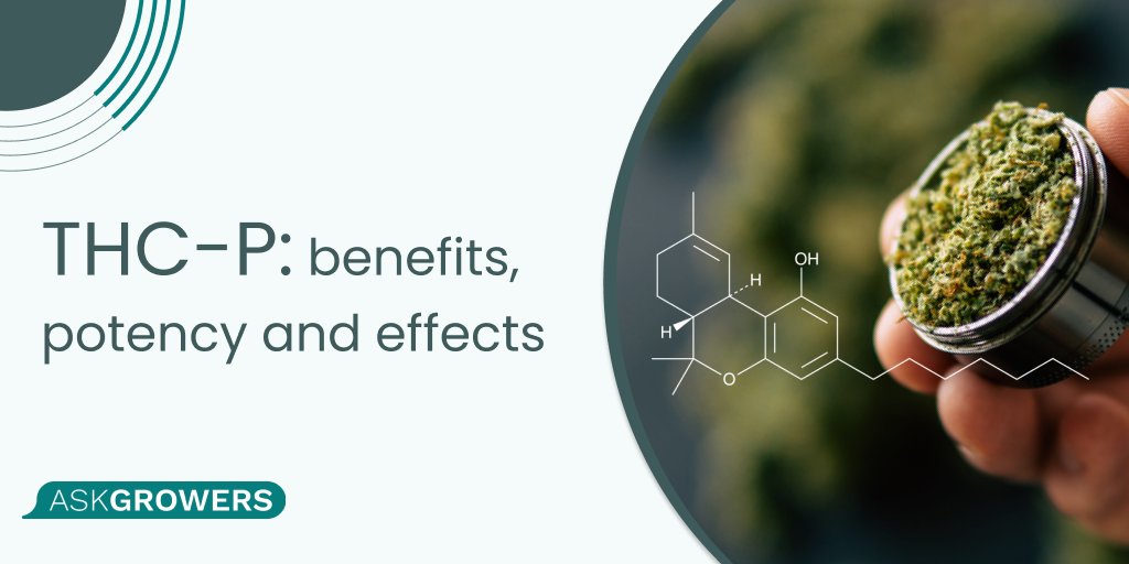 askgrowers tweet media