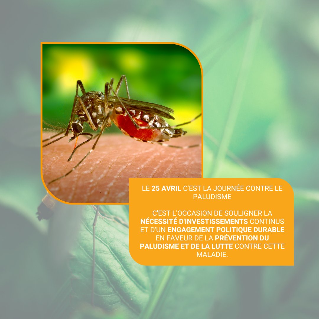 iDareYou_app's tweet photo. Cette année, la campagne de la Journée mondiale du paludisme, célébrée par l’ensemble des acteurs de la lutte antipaludique, aura pour thème « Il est temps de parvenir à zéro cas de paludisme : investir, innover, mettre en œuvre ». https://t.co/k4kFIk9qUg