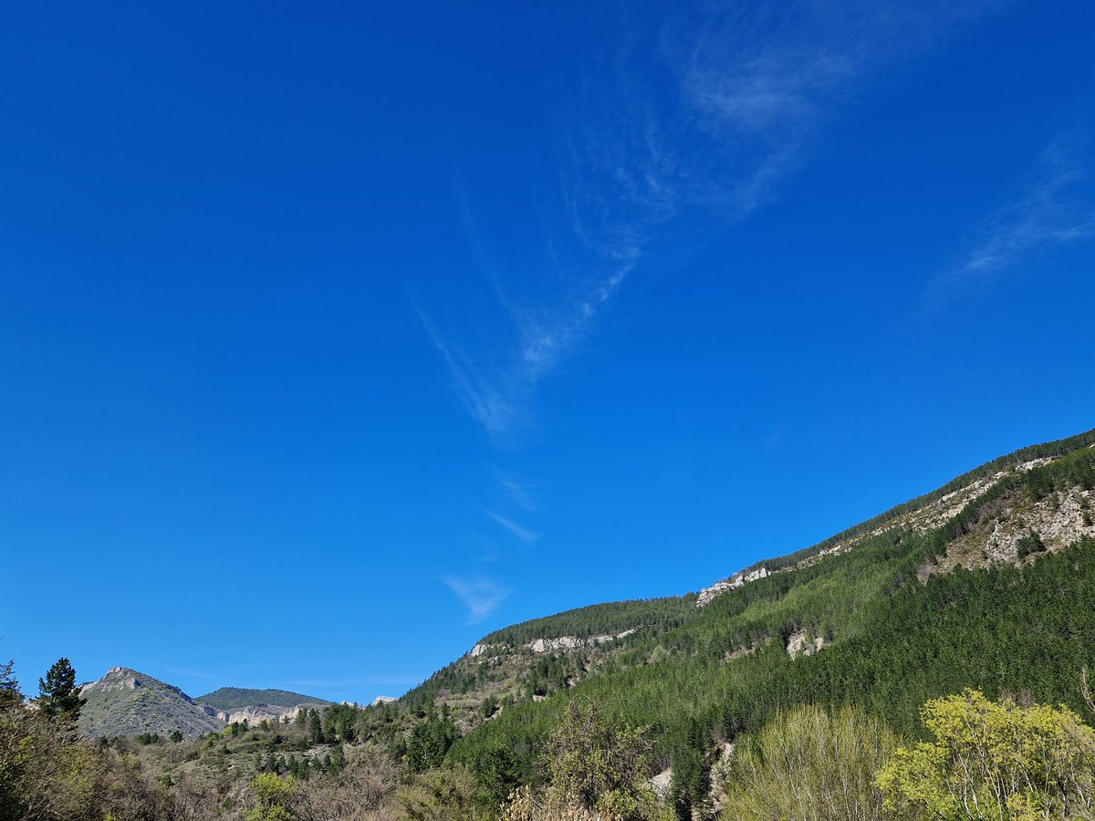 AquaTom13's tweet photo. Retour sur le stratotype du Bathonien/GSSP Ravin du Bès-Bas Auran (04), un peu moins de 3 ans depuis ma dernière visite #stratotype #teamsvt #spéterm (spoil : toujours pas trouvé le clou doré mais quelques jolies photos..) https://t.co/E3sMb7KSqy