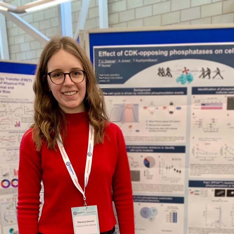 Theresa Zeisner tweet media