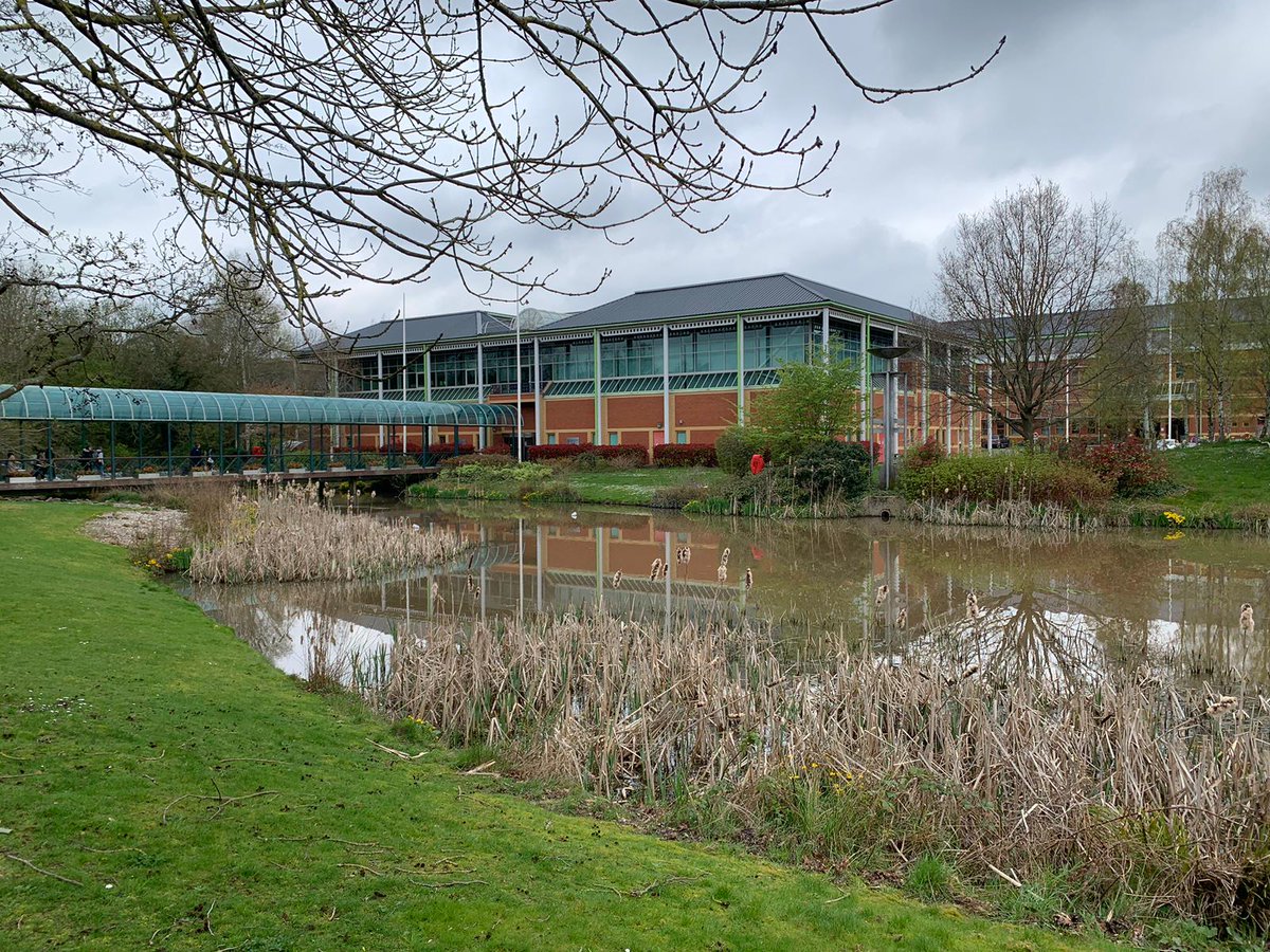 Theresa Zeisner tweet media