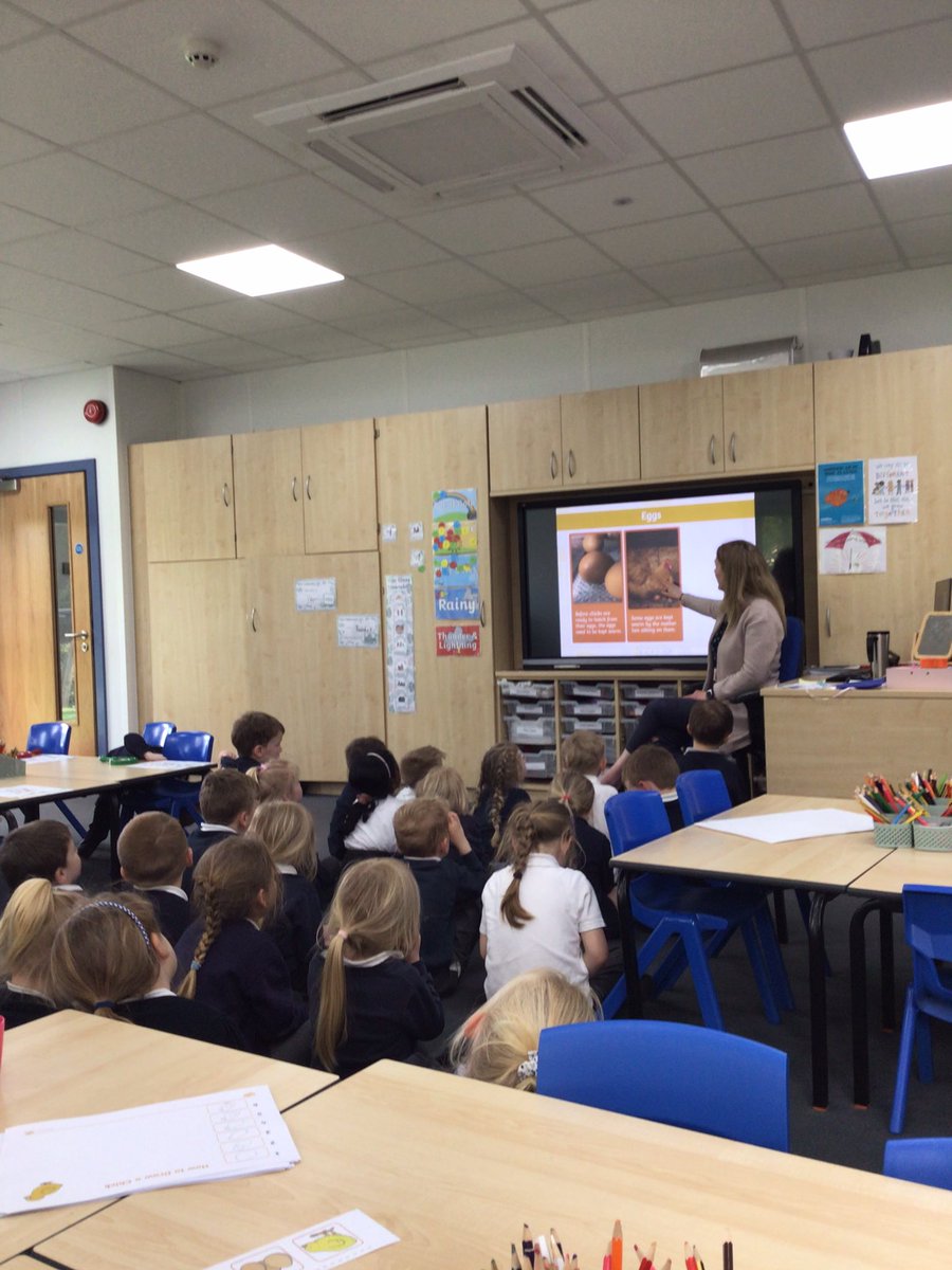 H_E_P_S's tweet image. Cocklemoor thought about how chicks were born in science. We discussed the life cycle of a chick, and how today, they. Ought be born with the help of an incubator. #hepscience