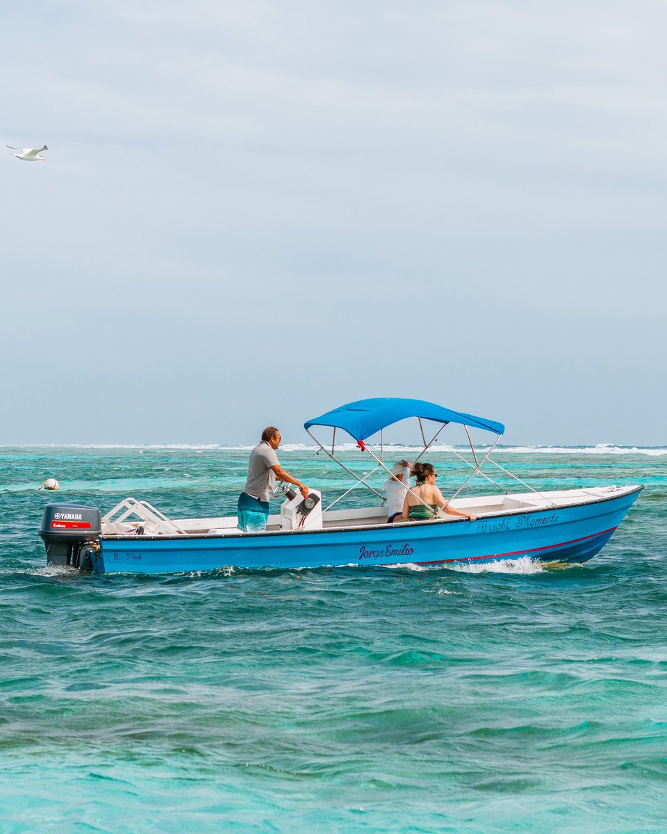An exciting venture out to the deep blue Caribbean Sea 🌊 Caye Caulker expeditions are the perfect combination of fun and island life ✨

#belize #wildlycivilized #chaacreek #sea #caribbean