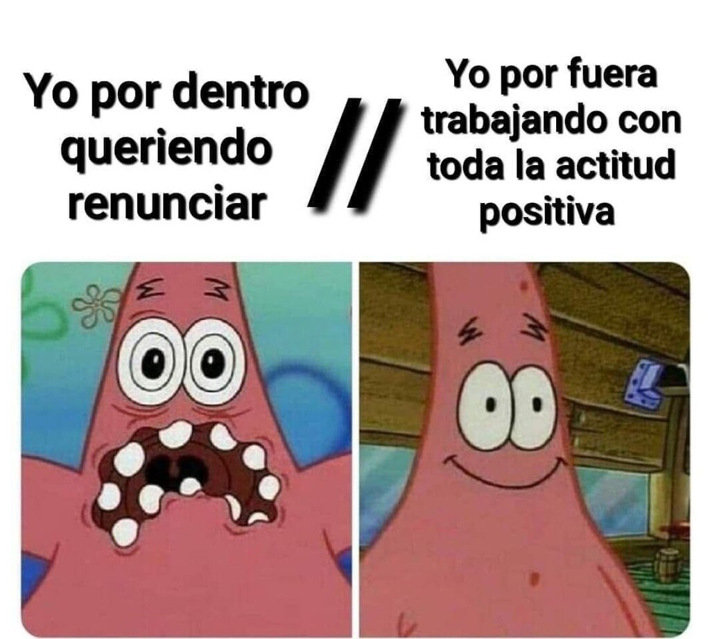 la_de_rh's tweet photo. Buenos días, Milic. https://t.co/l4ItL2EY30