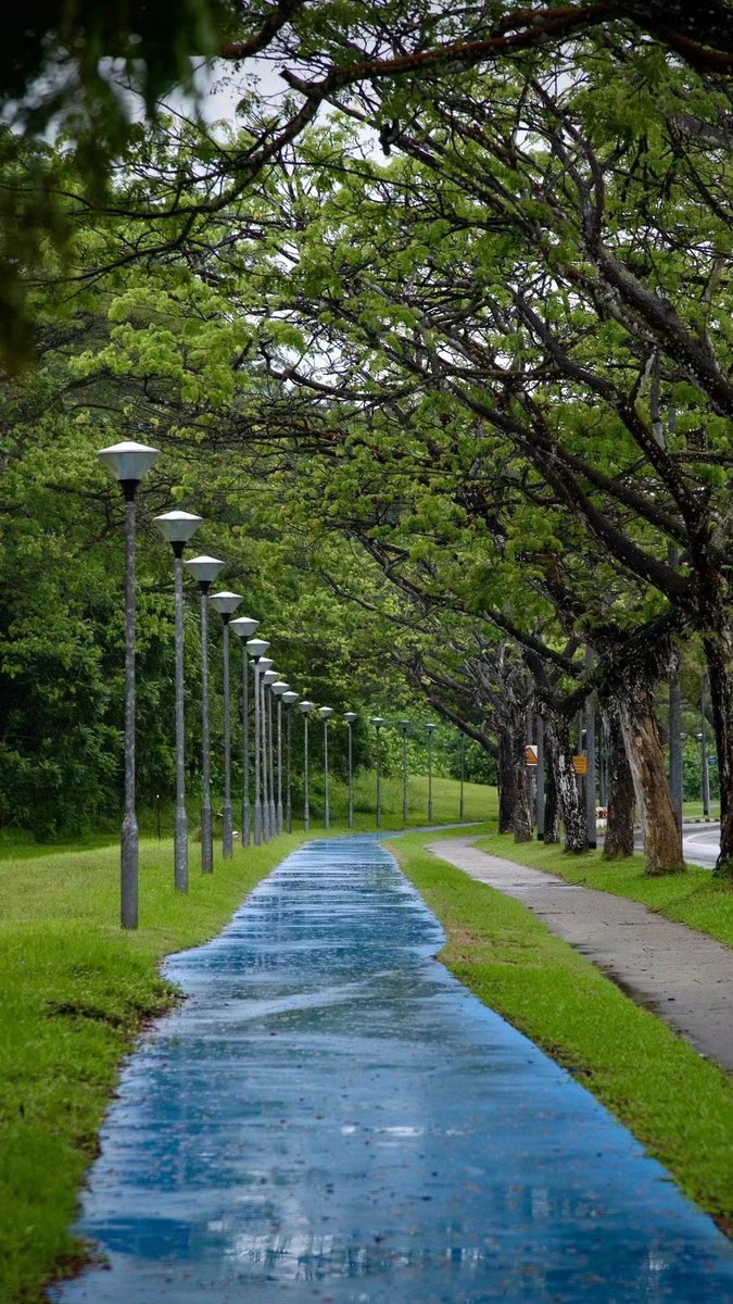 breadchen4's tweet image. Beautiful scenery