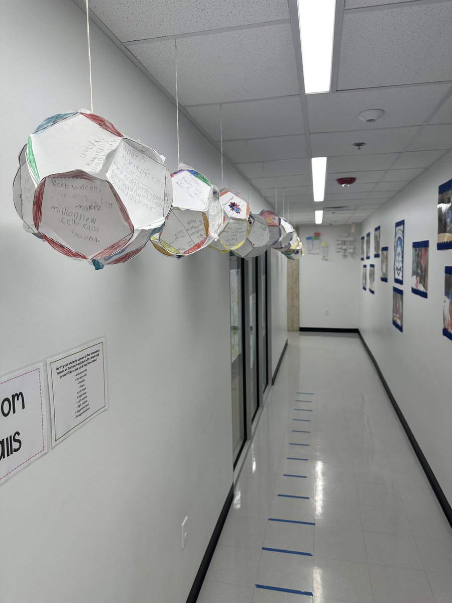 Olyuri's tweet photo. Instruction shouldnโt end after testing. BioMedical has a great idea on how to keep instruction alive through Bloom Balls! https://t.co/VrEJkpu3aw @DISDBiomed @AngieGaylord @N_Bernardino #RegionVislive https://t.co/L6NeXP2IC6