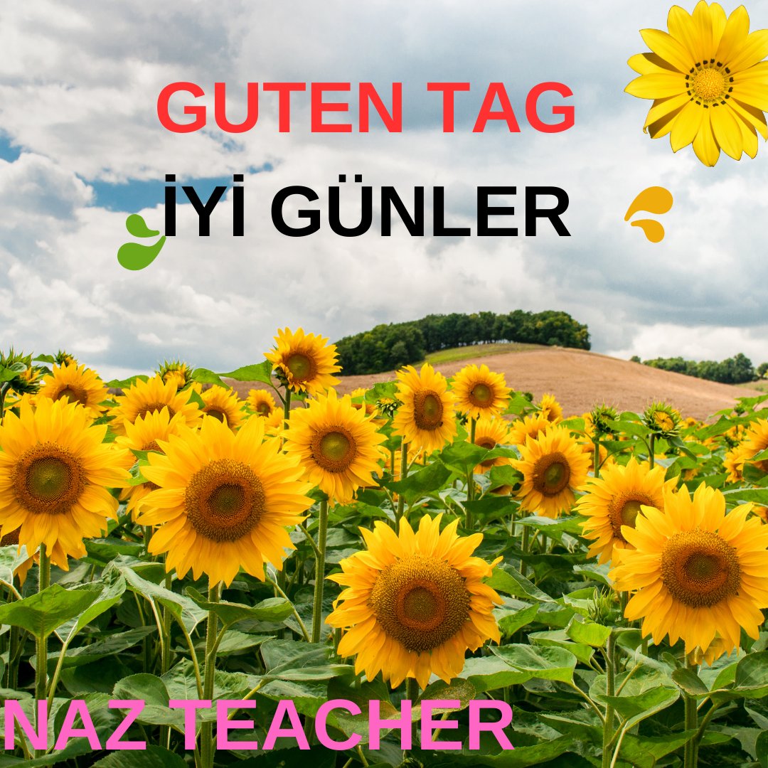 odevalmanca's tweet image. 🔴Almanca İngilizce Çeviri  ve ödev icin yazabilirsiniz uygun fiyat🔴
#almancaödev #ingilizce #İngilizceödev #performansödevi #projeödevi #çeviri #tercüman #tercüme #almancatercüman #İngilizceçeviri #gündem #özelders #almancaözelders #İngilizceözelders