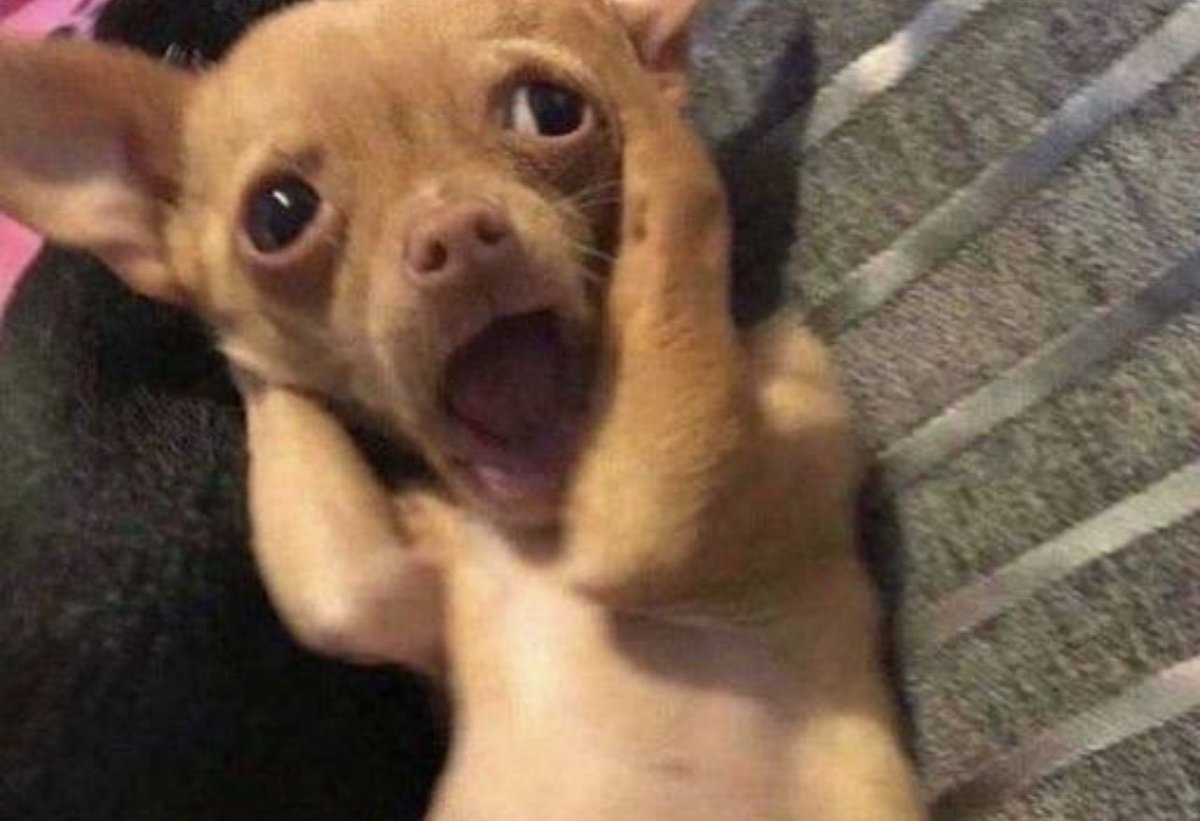 Guarromantico_'s tweet image. Qué semana tan pesada, ya duró un montón.

Wey, apenas es martes.