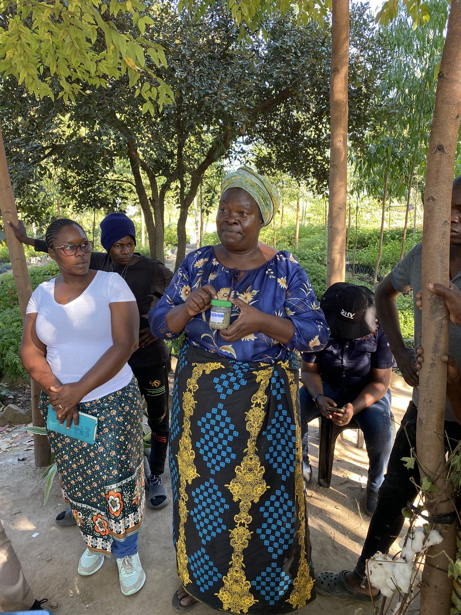 SweAmbZam's tweet photo. With just a little bit of training &amp; a little bit of investment you can change lives. And counter climate change! 

Amazing &amp; inspirational stories from small-holder farmers &amp; women entrepreneurs in #Choma today. 

Many thanks to our partner @SNVworld. Good job!💪🏼👍🏼

#SweZam🇸🇪🇿🇲 https://t.co/CBTB6W9zfJ