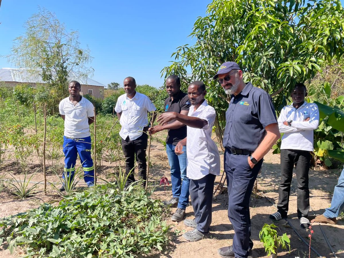 SweAmbZam's tweet photo. With just a little bit of training &amp; a little bit of investment you can change lives. And counter climate change! 

Amazing &amp; inspirational stories from small-holder farmers &amp; women entrepreneurs in #Choma today. 

Many thanks to our partner @SNVworld. Good job!💪🏼👍🏼

#SweZam🇸🇪🇿🇲 https://t.co/CBTB6W9zfJ