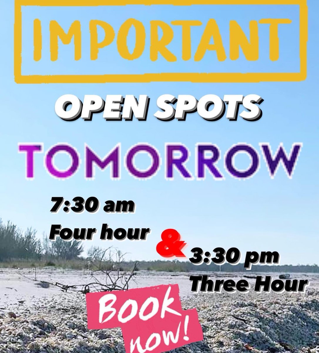 OPEN SPOTS Tomorrow on our 7:30 am Four Hour Shared 🐚Tour & OPENINGS on our 3:30 pm Three Hour Shared 🐚Tour. You can Book Online or Call : 239-571-2331 treasureseekersshelltours.com
#treasureseekersfl 
#shells #floridalife #shellmarcoisland #shellkiceisland #treasureseekershelltours