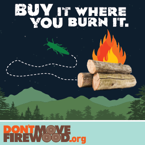 OttawaNF's tweet photo. Help stop the spread of Emerald Ash Borer. Seriously, don't move firewood. #eabweek https://t.co/MwjdQLsID8
