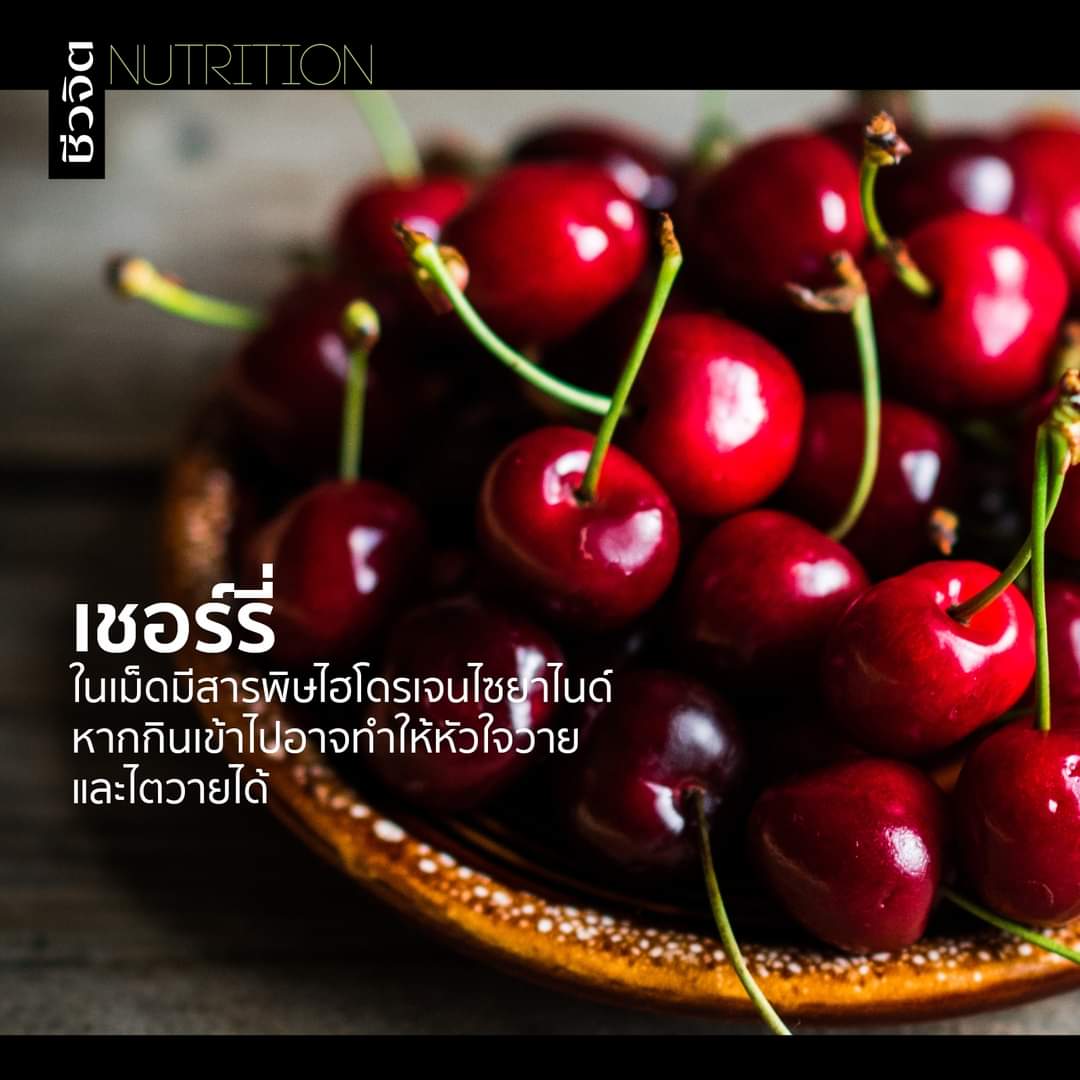 _new9630 tweet media