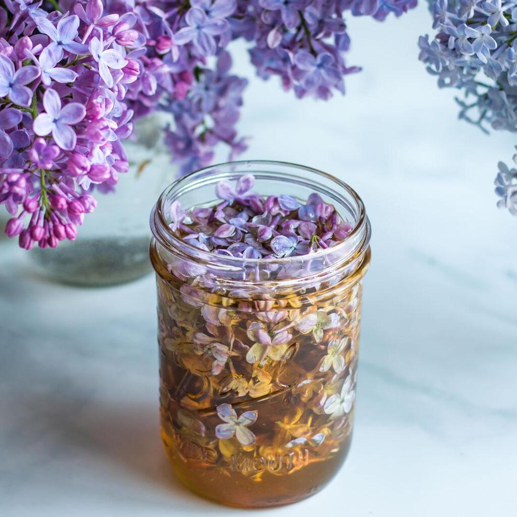GrowForCookFerm's tweet image. Find the full recipe and instructions for this beautiful floral delicious lilac flower infused honey here: ift.tt/7DQMiaO

Lilacs are a beautiful and fragrant spring staple! They happen to be edible and delicious too. 💜 ☀️

These purple flowers… ift.tt/mEIvXSP