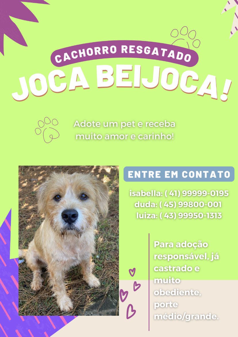 _isabellantunes's tweet photo. https://t.co/cQr0gxyJpc