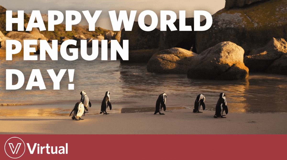 Happy #WorldPenguinDay! 🐧 Did you know that <a href="/TheTorontoZoo/">The Toronto Zoo</a> is home to 17 species of penguins? Let's celebrate these amazing birds and the dedicated staff at the zoo who care for them daily. Visit the Toronto Zoo and experience the magic of these waddling wonders for yourself!