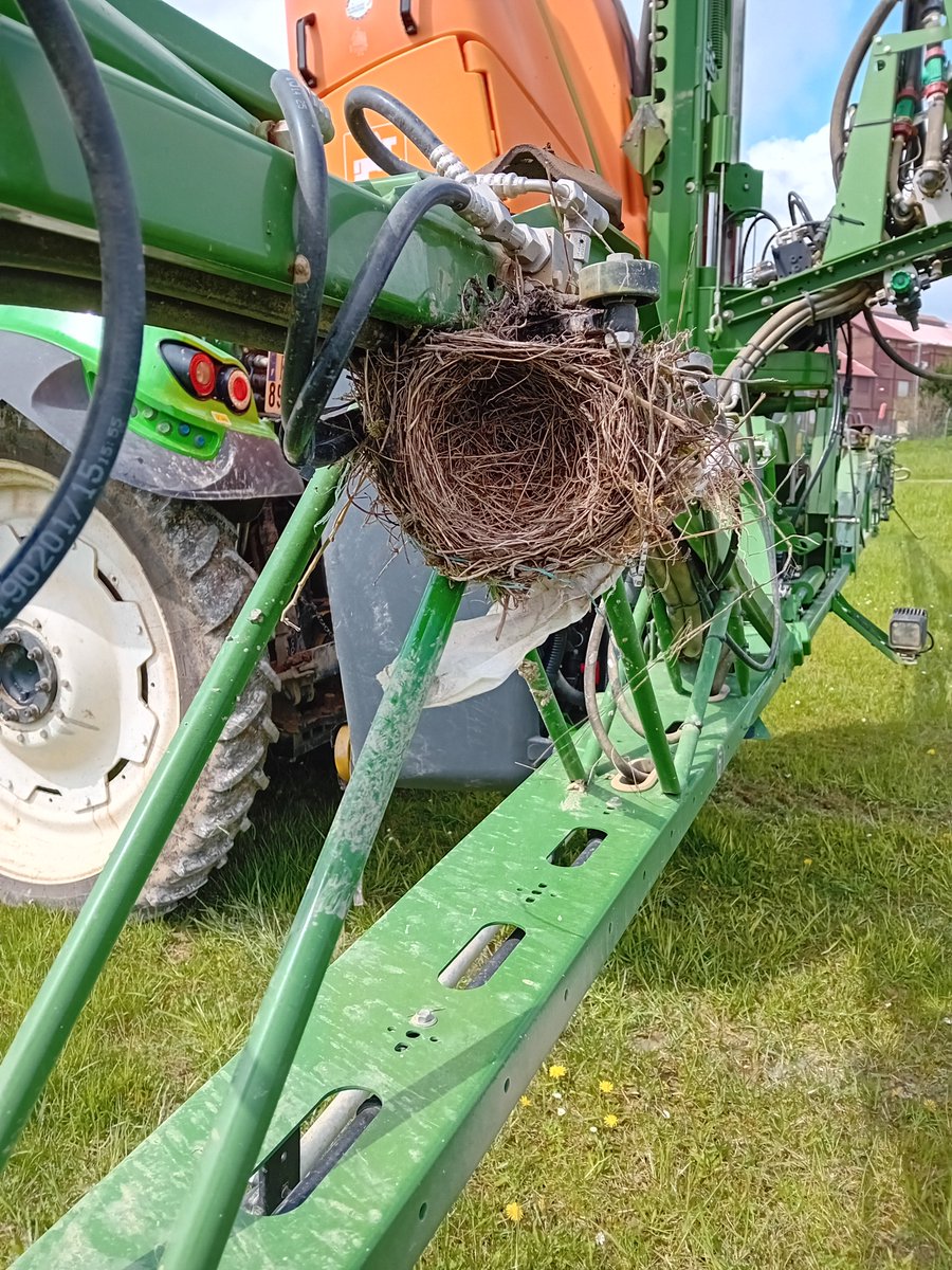 Et celui-là, vous l'avez vu ?

Y a quand même des oiseaux 🐦 qui ont des idées ?