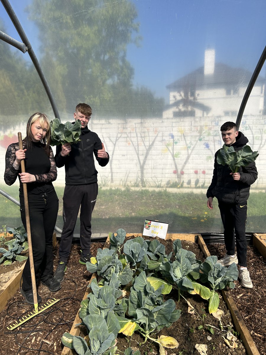 Brilliant developments in our garden thanks to the funding we received last year as part of the <a href="/laoisoffalyetb/">Laois and Offaly ETB</a> Sustainable Workplace - Project Slam Competition #ThisisFET #sustainability #greenskills