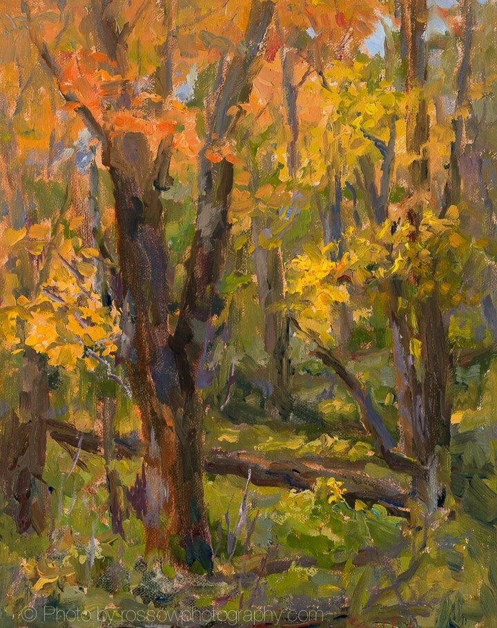 Check out this colorful little oil landscape study I photographed for @suewipf - 'Maria State Park Autumn'

#landscapepainting #minnesotaartist #fineart #oilpainting #artcollector #artlovers #artgallery #artforsale #artstagram #instaart #artoftheday #art… instagr.am/p/CrdqOOgLcaL/