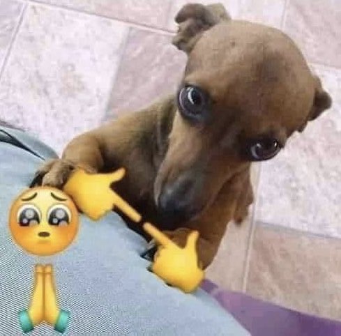 vai recusar esse convite???🥺🥺🥺

📎 LINK NO REPLY