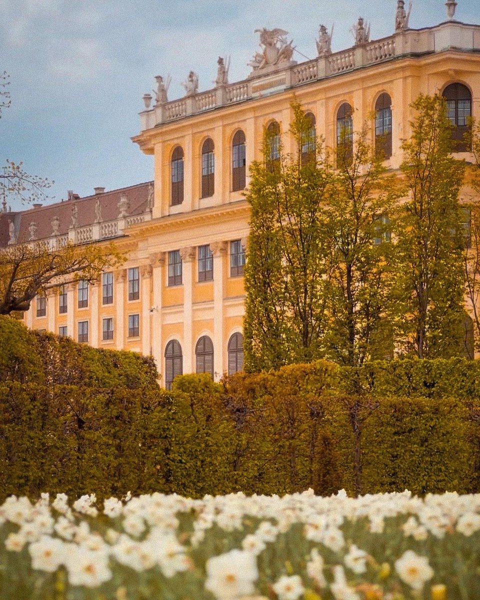 Schönbrunn Palace tweet media