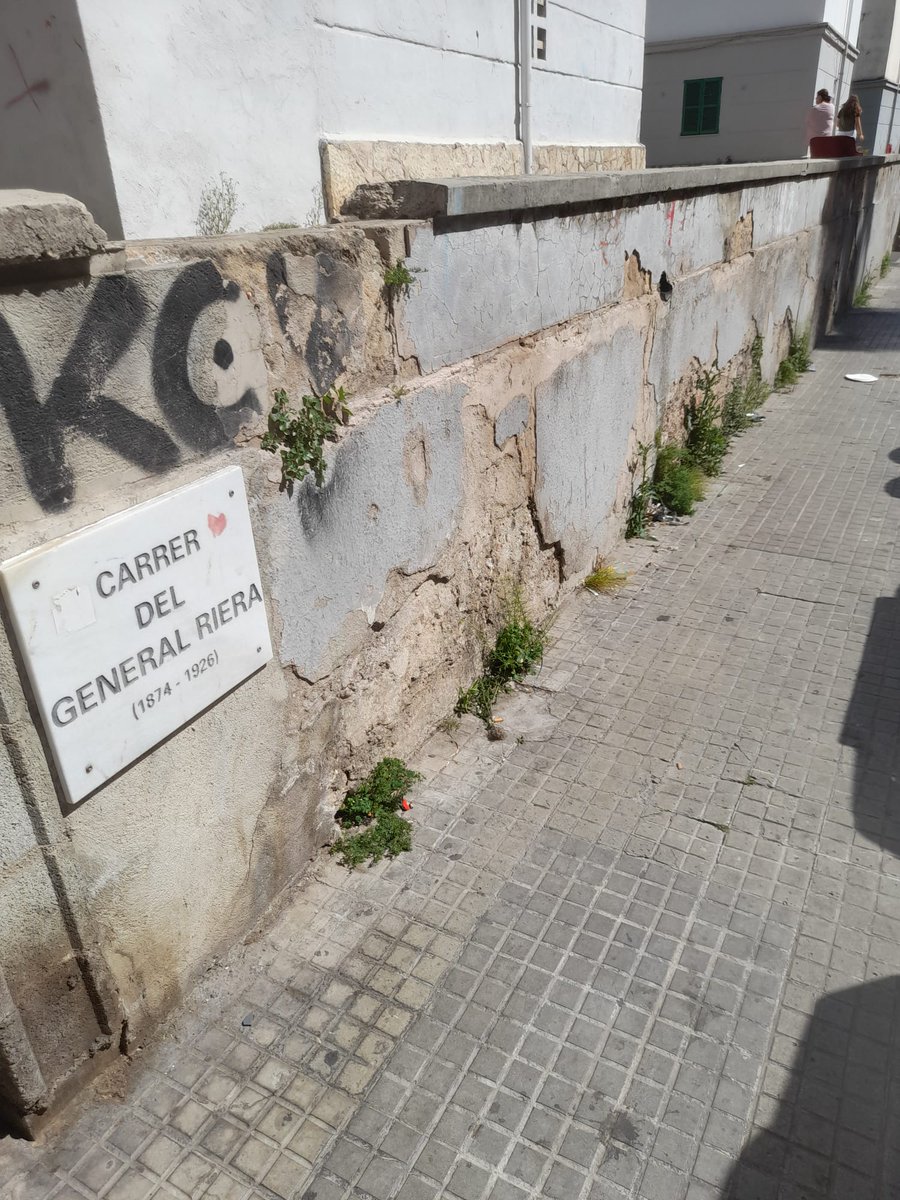 Districte Nord tweet media