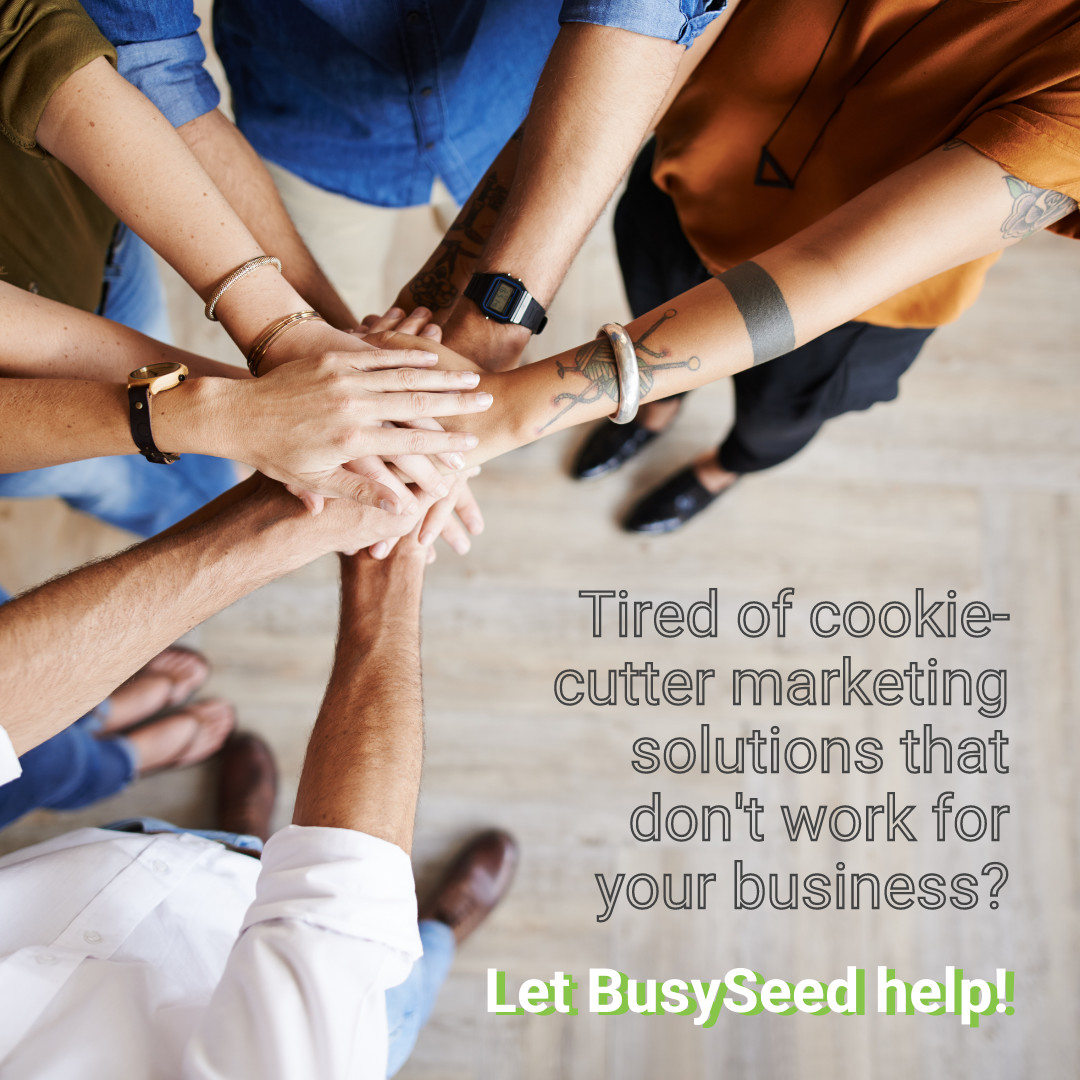 BusySeed's tweet image. At BusySeed, we believe that every business deserves a customized marketing strategy. That's why our team of experts works closely with each of our clients to create a personalized plan that meets their unique needs. #BusySeed #CustomizedMarketing #PersonalizedSolutions