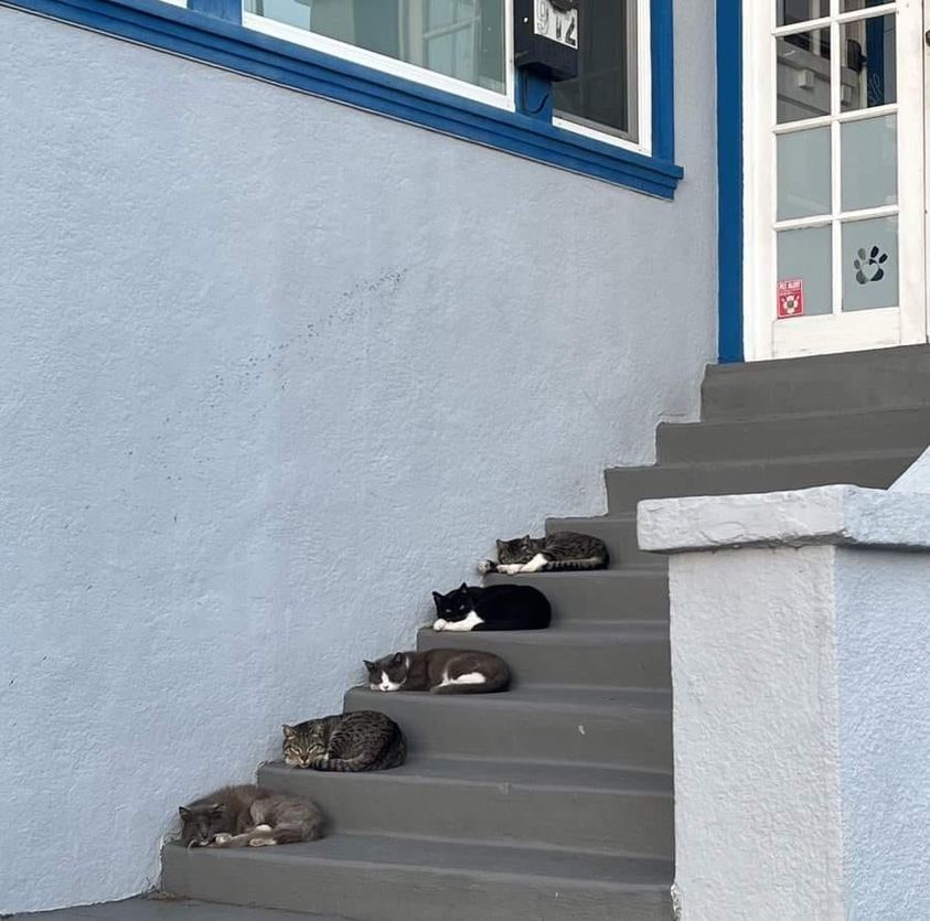 thelaceylondon's tweet photo. In six words or fewer, write a short story about this photo...

#amwriting #sixwordstory #BookTwitter https://t.co/a8mkfPQE4B