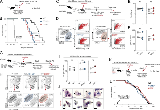 Journal of Experimental Medicine (@jexpmed) on Twitter photo .<a href="/TaylorForeman19/">Taylor Foreman</a>, <a href="/danielleobarber/">Daniel Barber, PhD</a> et al. <a href="/NIAIDNews/">NIAID News</a> find that, in mice, CD30 drives T cell differentiation & is required for host survival of Mycobacterium #tuberculosis infection, showing T cell immunity to Mtb requires CD30-dependent co-stimulation. bit.ly/3L5EOoT .<a href="/TaylorForeman19/">Taylor Foreman</a>, <a href="/danielleobarber/">Daniel Barber, PhD</a> et al. <a href="/NIAIDNews/">NIAID News</a> find that, in mice, CD30 drives T cell differentiation & is required for host survival of Mycobacterium #tuberculosis infection, showing T cell immunity to Mtb requires CD30-dependent co-stimulation. bit.ly/3L5EOoT