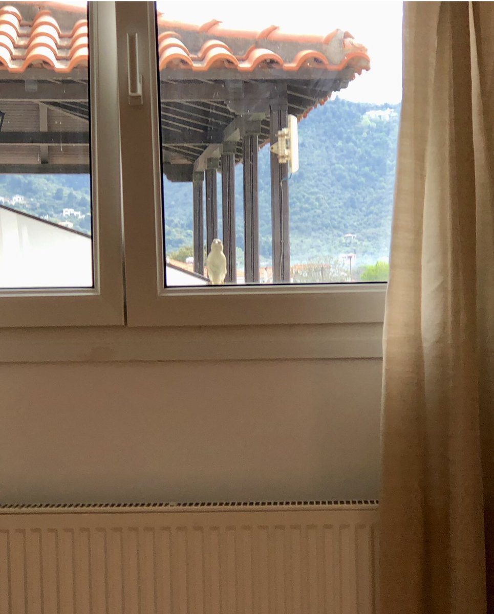 Carmen Kleinegris tweet media