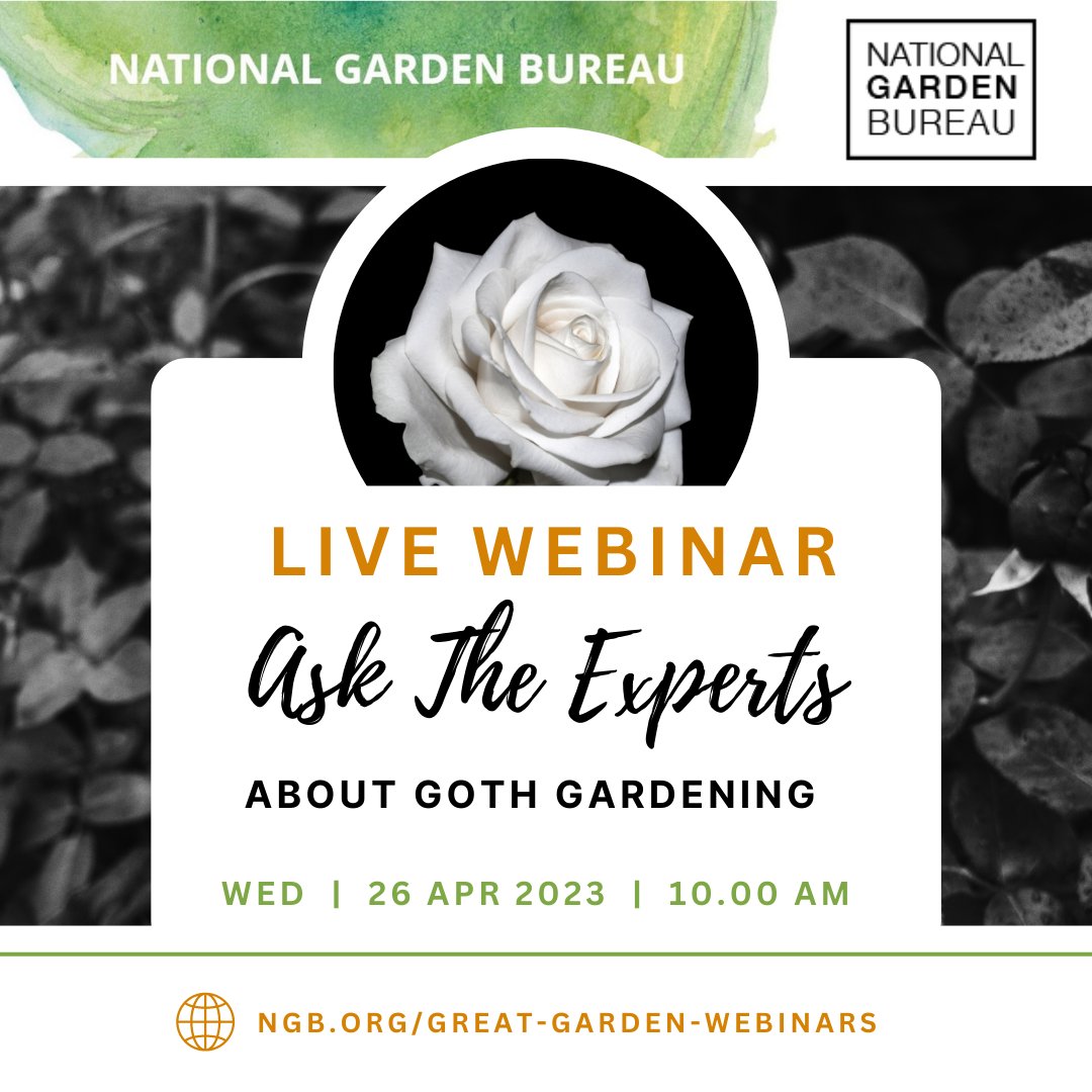 Plant Something Together tweet media